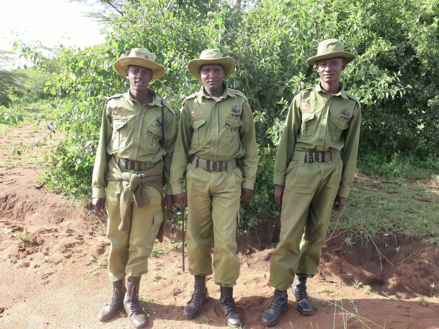 The Conservancy Project