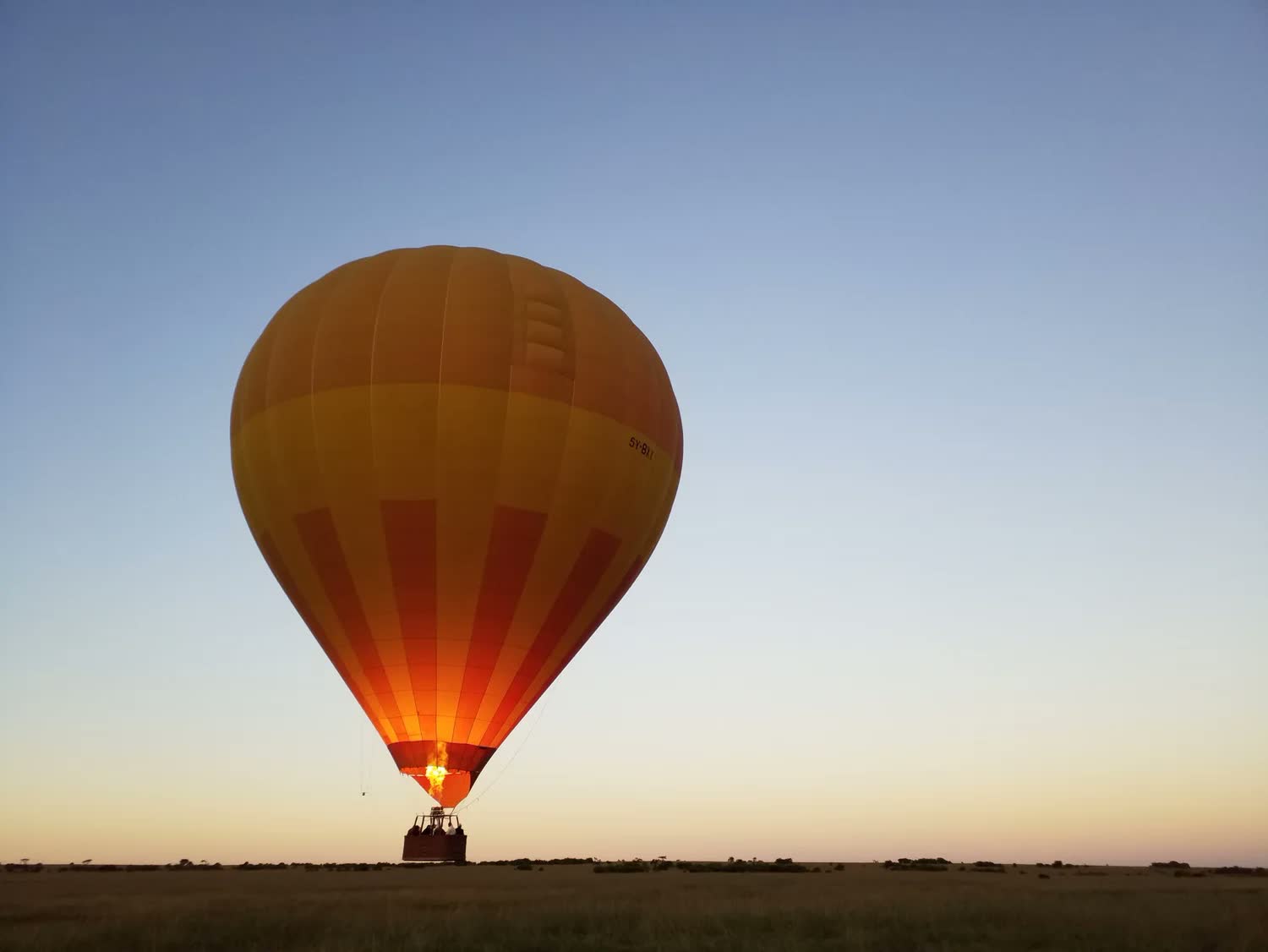 Balloon safaris