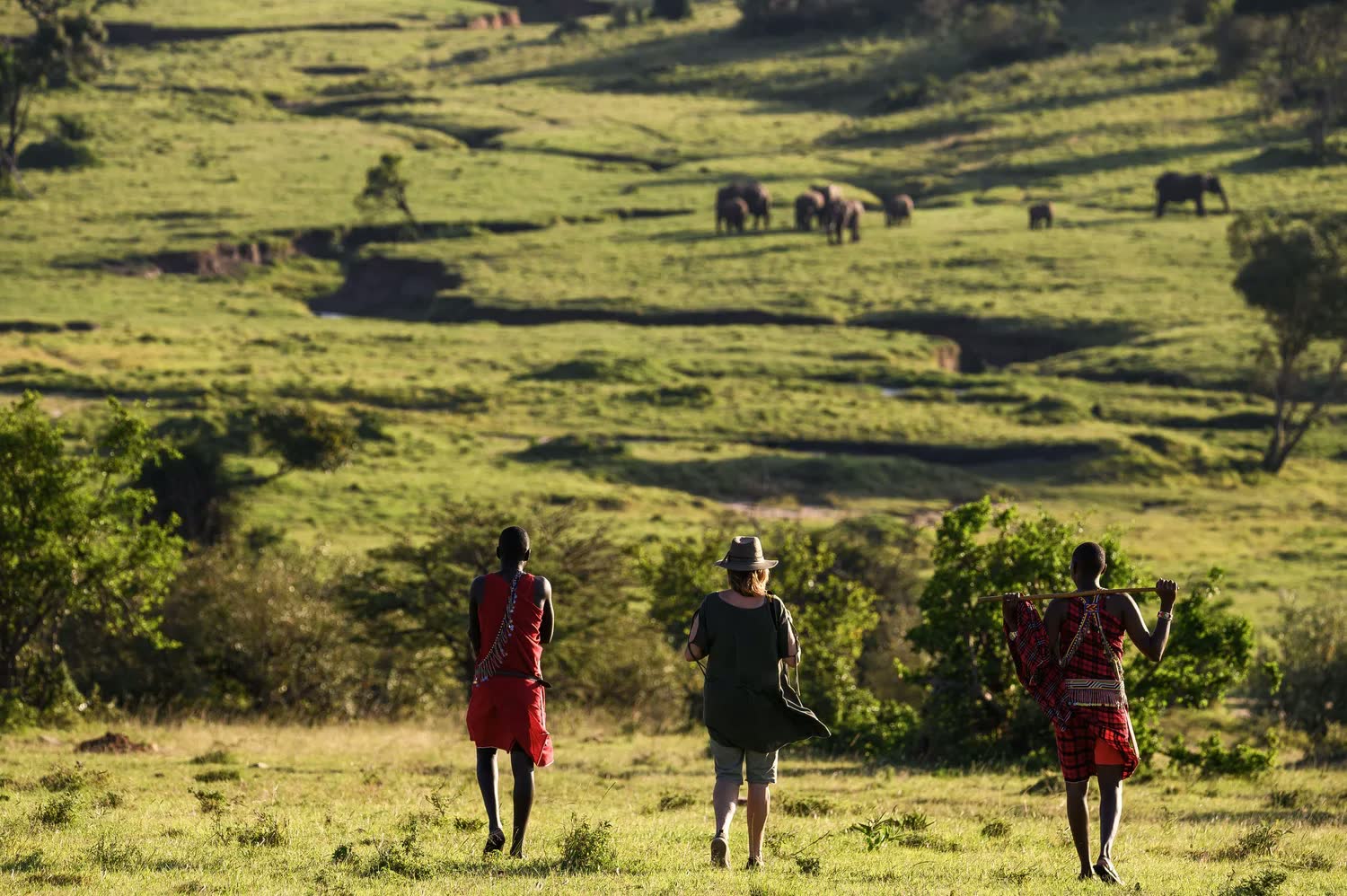 Guests walking with Maasai guides in the Mara Siana Conservancy